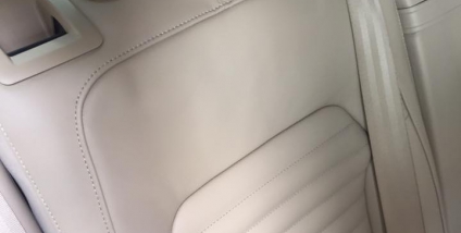 VW Passat - Lederbehandeling