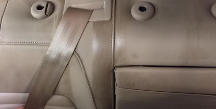 VW Passat - Lederbehandeling